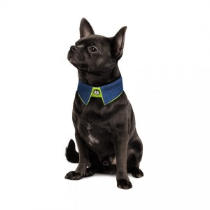 ������� Pet Fashion �Bright� ��� �����, ����� S-�, �����