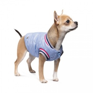 ������ Pet Fashion �Spike� ��� �����, ����� XS2, ���������