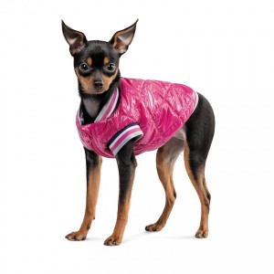 ������ Pet Fashion �Grace� ��� �����, ����� XS2, �������