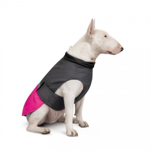 ������ Pet Fashion �Roy� ��� �����, ����� 2XL, ��������-����