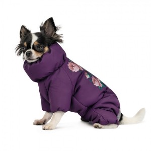 ������ Pet Fashion Lola ��� �������, ����� S2, ��������