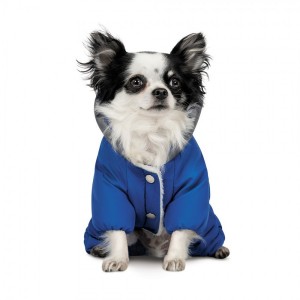������ Pet Fashion Zhan ��� �����, ����� XS, ���������