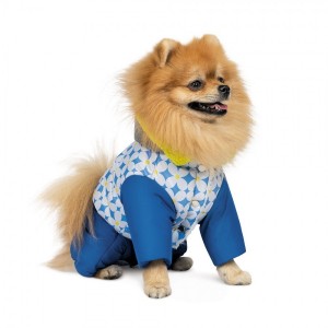 ������ Pet Fashion Tender ��� �������, ����� M, �����
