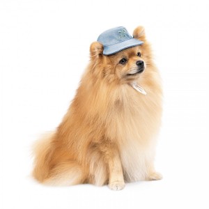 ������ Pet Fashion ��� ����� Blue M � �������� �������