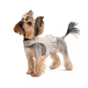 ���� Pet Fashion ��� ������� Nika XS2