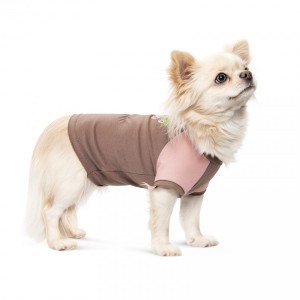  Pet Fashion   Rose S