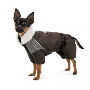 ������ Pet Fashion Locky XS ��� �����