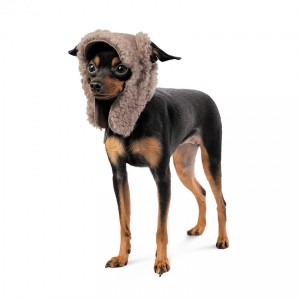 ����� Pet Fashion Valley ��� ����� ����� M