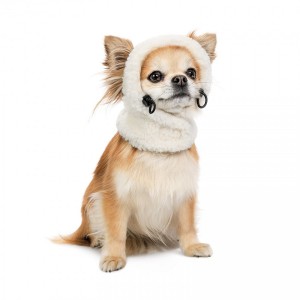 ����� Pet Fashion Teddy ��� ����� ����� M
