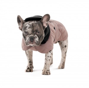 ������ Pet Fashion Max ��� ����� S3