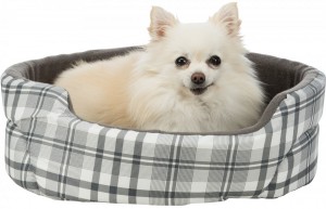  Trixie Lucky  ,     , /, 4535  (/)
