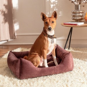 ����� Pet Fashion �Denver� ��� �����, 78�60�20 ��, �����
