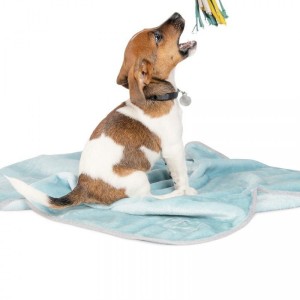 ���� Pet Fashion �Bliss� ��� ����� �� �������, 77�100 ��, �'���