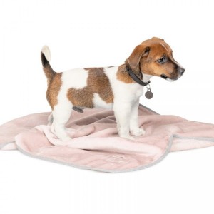 ���� Pet Fashion �Bliss� ��� ����� �� �������, 77�60 ��, �����