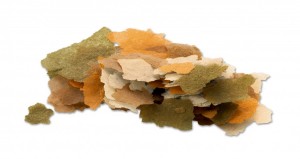   Tetra Min Flakes       10 /2,1 