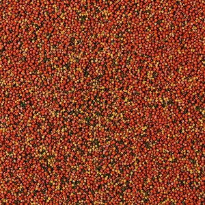 ����� ���� Tropical Supervit Granulat ��� ���������� ���, 10 � (�������)