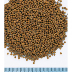 ���� Tetra Goldfish Granules ��� ������� �����, 250 �� (�������)