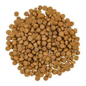  Savory   ,      , 400 