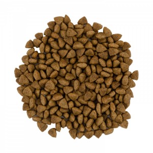   Savory     ,     , 400 