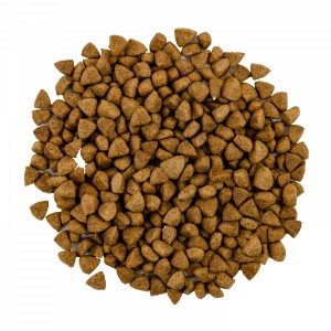   Savory   ,     , 400 