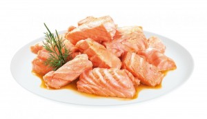 ���� ������� Brit Premium Delicate Fillets in Gravy Salmon For Sterilised ��� ������������� ���� ���� � ���� ������ 85 �
