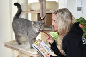 ̒���� ������� GimCat ��� ����, ������� �� ������, 4 ��