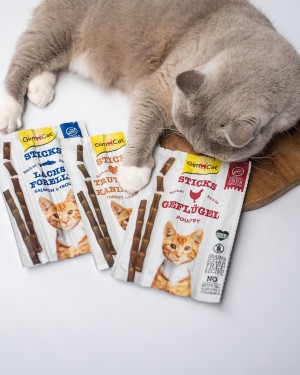 ������ GimCat ��� ����, ������� � ������� �� �������, 4 �� �� 5 �
