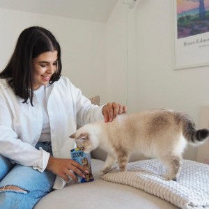 ������ ��� ���� GimCat Nutri Pockets Fish ������ 60 �
