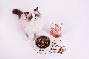 ������ ��� ���� Brit Raw Treat Indoor & Antistress Freeze-dried � ������, 40 �