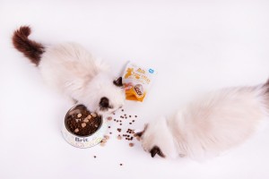 ������ ��� ���� Brit Raw Treat Hair & Skin Freeze-dried � ����� �� ��������, 40 �