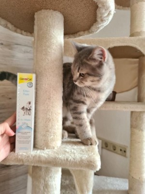 ³����������� ����� GimCat Expert Line Kitten ��� �������, 50 �