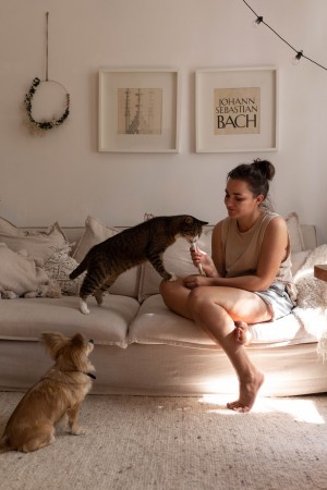 ³����� GimCat Expert Line Senior ��� ����, ������ 7 ����, 50 �