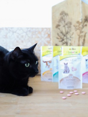 �������� GimCat Every Day Skin&Coat ��� ����, 40 �