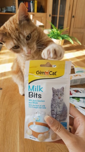 ³����������� ������ ��� ���� GimCat MilkBits � �������, 40 �