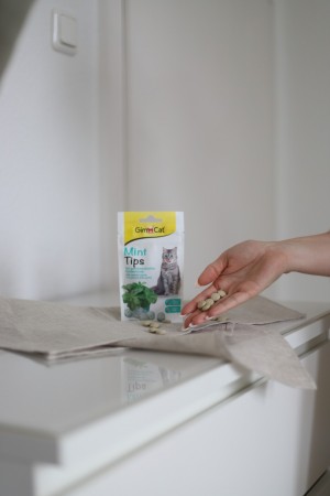 ³����������� ������ ��� ���� GimCat Cat-Mintips � ������� �'����, 40 �