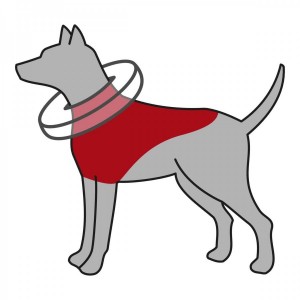 �������� ���� Trixie �������� ��� ����� L�XL 66�78 �� � 12 �� ���������