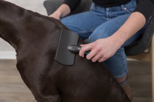 ٳ���-��������� Trixie, � ����������� ������, 10�17 ��