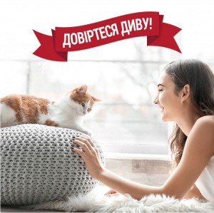 ����� 8in1 NM Cat Urine Destroyer Pour ��� �������� ������� ���� ����, 946 ��