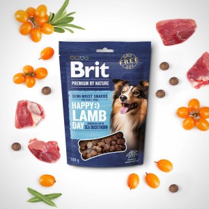 ������ ��� c���� Brit Premium Semi-moist Snacks Lamb with Sea Buckthorn ��������� � ����� � �������� 180 �
