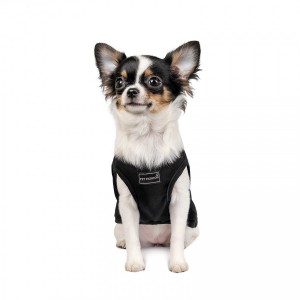 �������� Pet Fashion �FBI� ��� �����, ����� S2, �����
