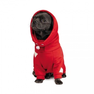 ��� Pet Fashion �Snoodie� ��� �����, ����� S, ��������