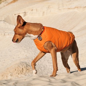 ����� Pet Fashion �E.Vest� ��� �����, ����� M, ������������