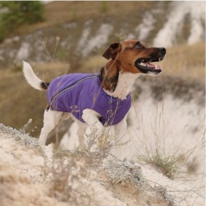 ����� Pet Fashion �E.Vest� ��� �����, ����� M2, ����������