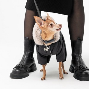 ������ Pet Fashion �Black� ��� �����, ����� XS2, ������