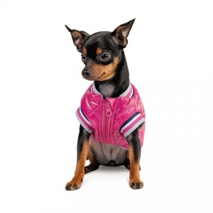 ������ Pet Fashion �Grace� ��� �����, ����� S, �������