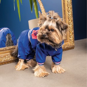 ������� Pet Fashion �Silver� ��� �����, ����� XS, �����