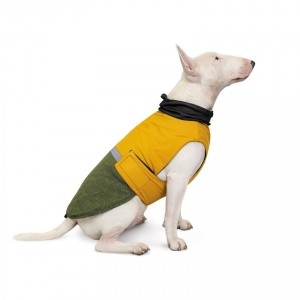 ������ Pet Fashion �Roy� ��� �����, ����� 3XL, ���-������