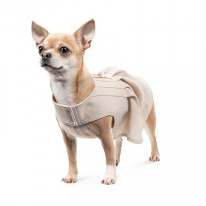 ������� Pet Fashion ��� ������� Miya �����-���� XS