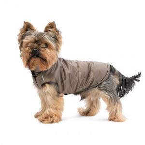 ����� Pet Fashion Hardy ��� ����� ����� S2