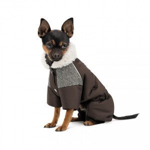 ������ Pet Fashion Locky XXS ��� �����